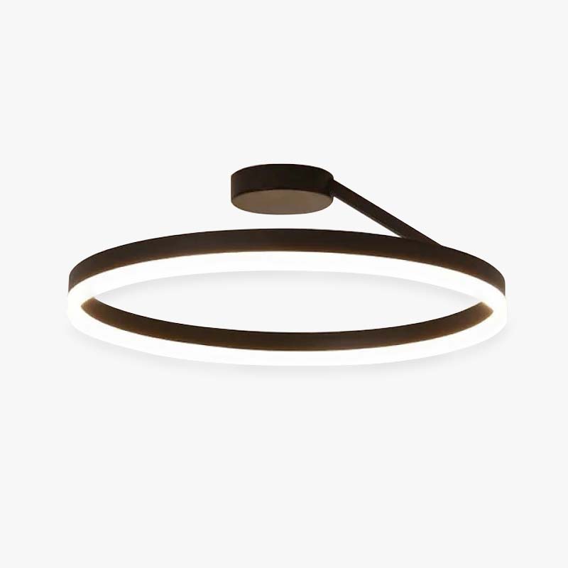 Solinor Modern Circle Flush Mount Ceiling Light, Black & White - Sereilux
