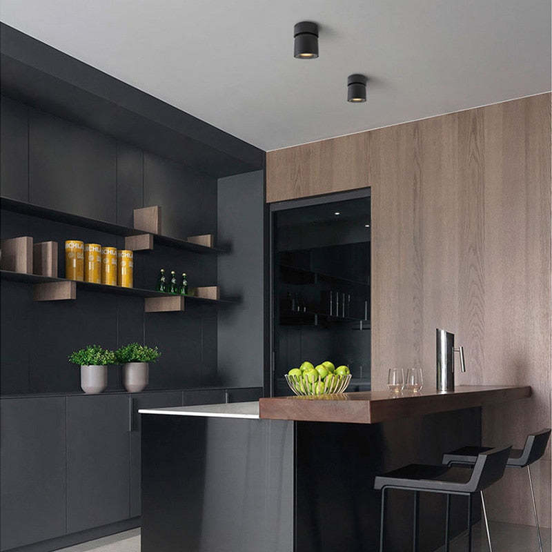 Lampada da soffitto moderna a LED Lurix Spotlight, nera/bianca - Sereilux