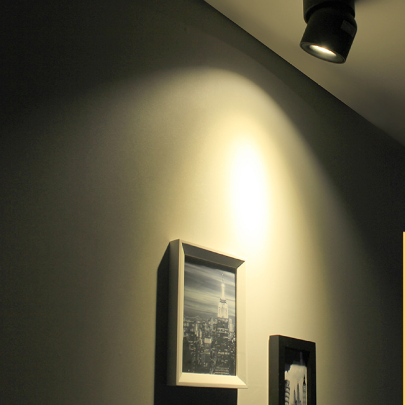 Lurix Spotlight Modern LED Flush Mount Ceiling Light, Black/White - Sereilux