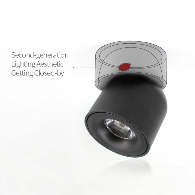 Lampada da soffitto moderna a LED Lurix Spotlight, nera/bianca - Sereilux