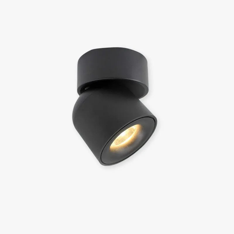 Lurix Spotlight Modern LED Flush Mount Ceiling Light, Black/White - Sereilux